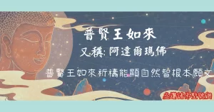 Read more about the article 普賢王如來